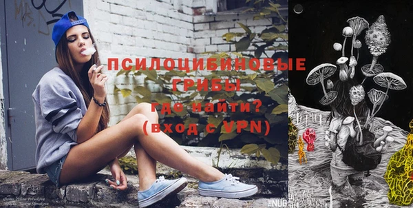 индика Нязепетровск