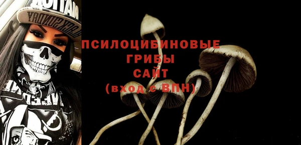 индика Нязепетровск