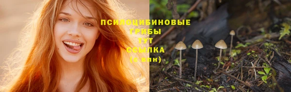 спиды Нягань