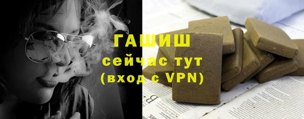 индика Нязепетровск