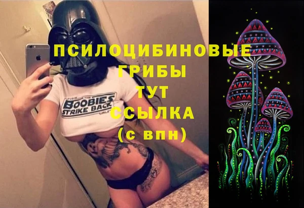 индика Нязепетровск