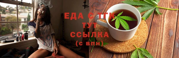 индика Нязепетровск