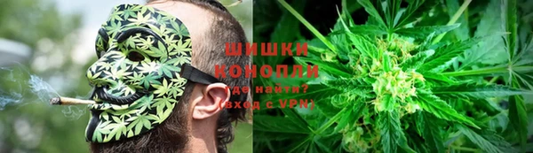 индика Нязепетровск