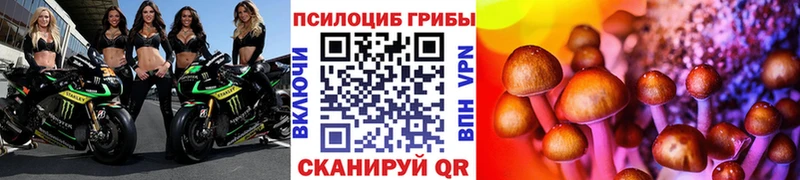 Псилоцибиновые грибы Cubensis  blacksprut ссылки  Сасово 